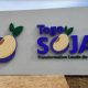 Inauguration de Togo Soja : Un pas décisif vers une économie prospère