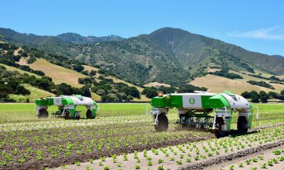 Le Salon des Technologies Agricoles de Lomé approche : Une fenêtre sur l'innovation agricole au Togo