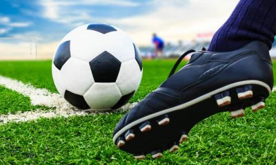 Le Togo stimule le sport professionnel avec la création de Ligues spécialisées