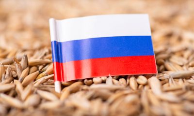 La Russie lance des livraisons de céréales gratuites en Afrique, défiant les sanctions occidentales