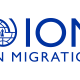 Offres d'emploi : L'Organisation Internationale pour les Migrations (OIM) recrute 03 postes (23 Novembre 2023)