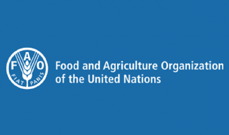 Le Bureau sous-régional de la FAO recrute (13 Novembre 2023)