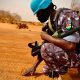 Togo/FAT : Arrivé du dernier bataillon togolais de la Minusma à Lomé