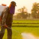 Agriculture au Togo : Un Projet Innovant pour une Utilisation Rationnelle des Pesticides