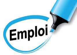Offre d'emploi : Le cabinet Jobrelais Sarl recute pour ce poste (13 Décembre 2023)