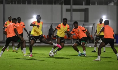 CAN 2023 : Les Éléphants ressuscités !