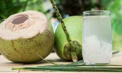 Santé : Trois (3) raisons d'intégrer l'eau de coco à votre routine quotidienne