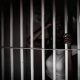 Insolite : Une jeune femme se retrouve en détention pour fausse grossesse