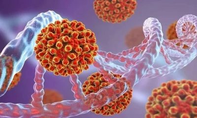 Santé - L’hépatite B : Causes, symptômes, traitements et moyens de prévention