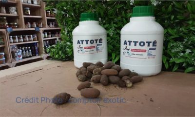 Attoté : mise en garde des autorités ivoiriennes contre les risques de l'aphrodisiaque