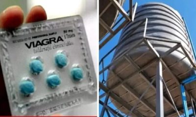 Insolite : Un adolescent recherché pour avoir ajouté du Viagra dans le réservoir d'eau d'une église