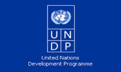 Togo : Le PNUD recrute pour ces 6 postes (18 avril 2024)