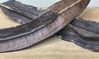 Santé : Voici les bienfaits de l’ésese, plus connu sous le nom fruit 4 côtés