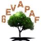 Offre d'emploi - Togo : L'ONG GEVAPAF recrute plusieurs profils pour son projet de soutien aux ménages vulnérables