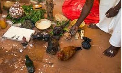 Très mauvaise nouvelle pour les marabouts Béninois et Togolais