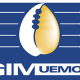 Offre d'emploi : Le GIM-UEMOA recrute pour ce poste (14 Août 2024)