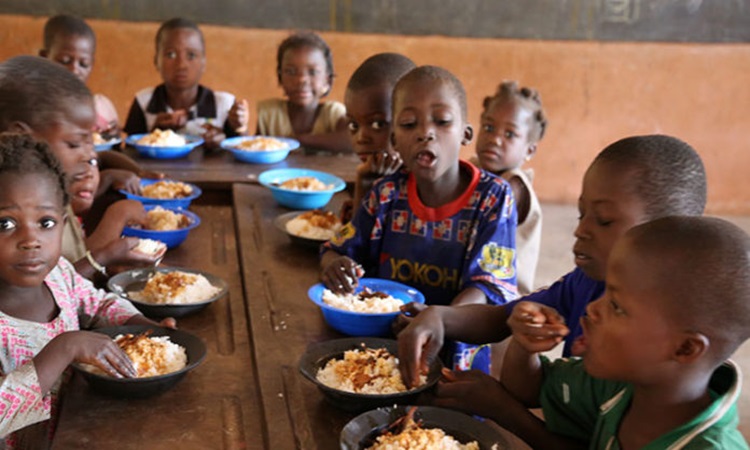 L'Impact des cantines scolaires dans les savanes : Une révolution pour l'éducation