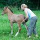 Insolite : une femme surprise en plein ébats sexuels avec un cheval