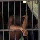 Ghana : Un Togolais condamné à prison ferme pour fraude identitaire