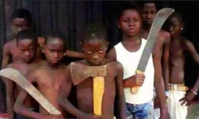 Résurgence des agressions à Douala : les « microbes » frappent de nouveau