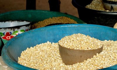 Togo : hausse des prix du maïs et de certaines denrées alimentaires