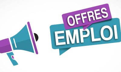 Offre d'emploi - Togo : L'OMS recrute pour ce poste (postulez dès maintenant !)