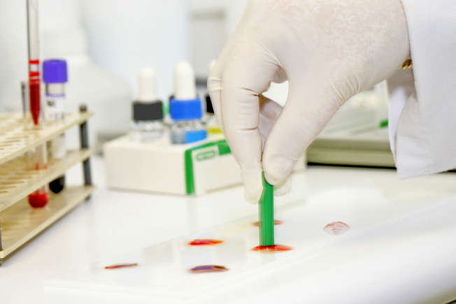 Santé : découverte d'un nouveau groupe sanguin qui pourrait sauver des milliers de vies