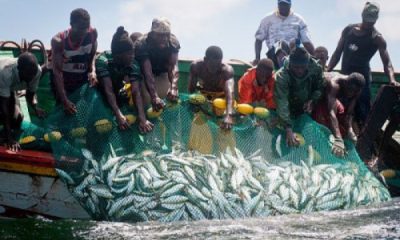 Togo : Reprise des activités de pêche sur le lac Nangbéto