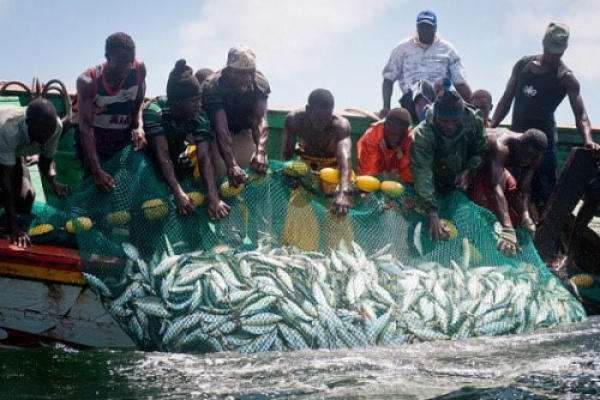 Togo : Reprise des activités de pêche sur le lac Nangbéto