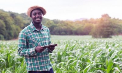 Togo : Le 5e recensement agricole démarre à cette date précise