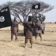 Cameroun : Plusieurs victimes dans une attaque attribuée à Boko Haram