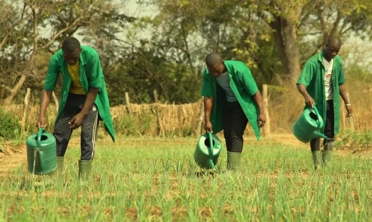 Togo : Une nouvelle ère pour l’agriculture démarre dans la région Centrale