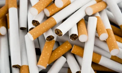 Tabac : Le Togo brise le cercle vicieux des taxes et de la contrebande