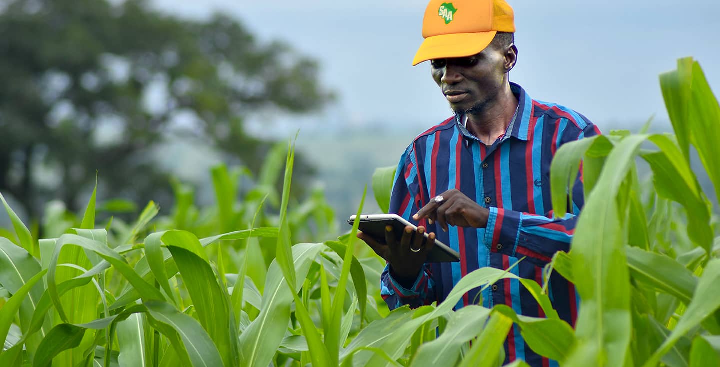 ANPE : Recrute d'un (01) ingénieur agronome (H/F)