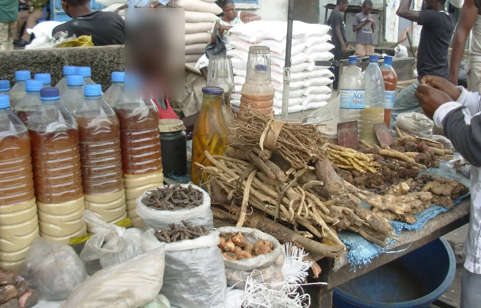 CEDEAO : vers une reconnaissance de la médecine traditionnelle en Afrique de l’Ouest