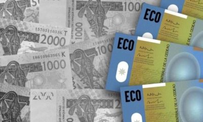 Monnaie Eco / Fracture entre les pays francophones et anglophones : les raisons