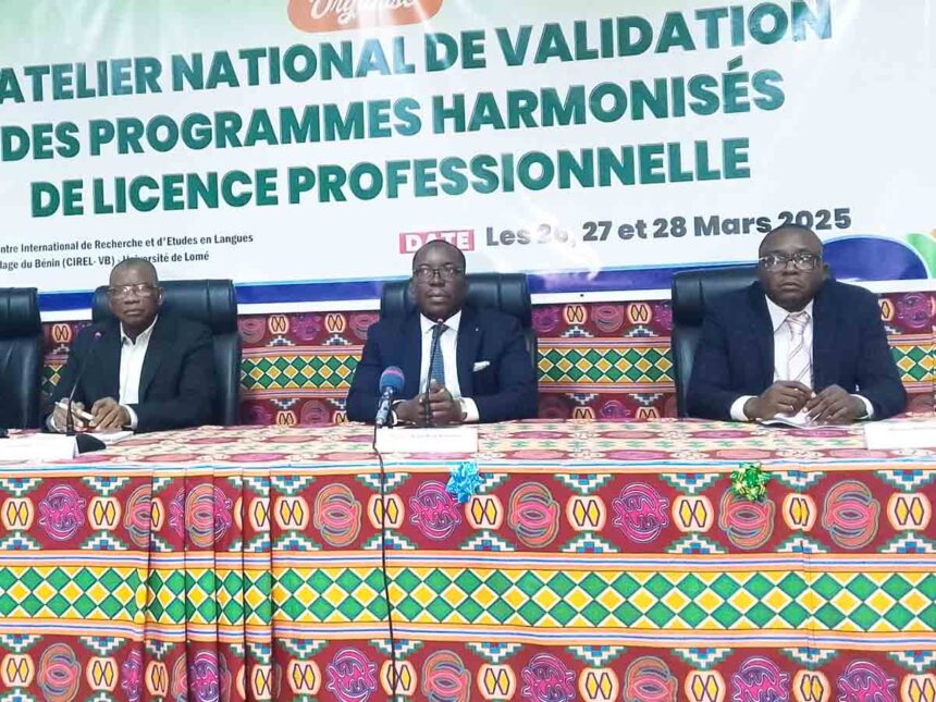 Togo : 69 licences professionnelles harmonisées pour une meilleure qualité de l'enseignement