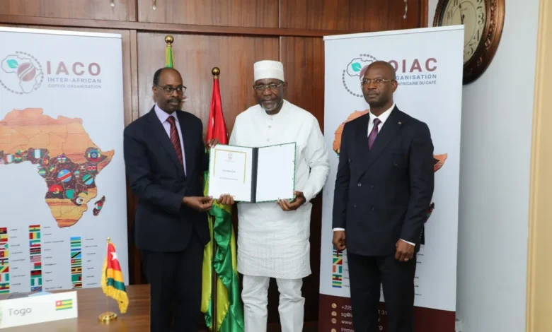 Le Togo renforce son engagement pour le café : le pays accepte l’accord de l’OIAC