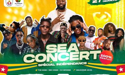 65e anniversaire de l'indépendance du Togo : Emmanuel Adebayor organise un concert géant à Totsi