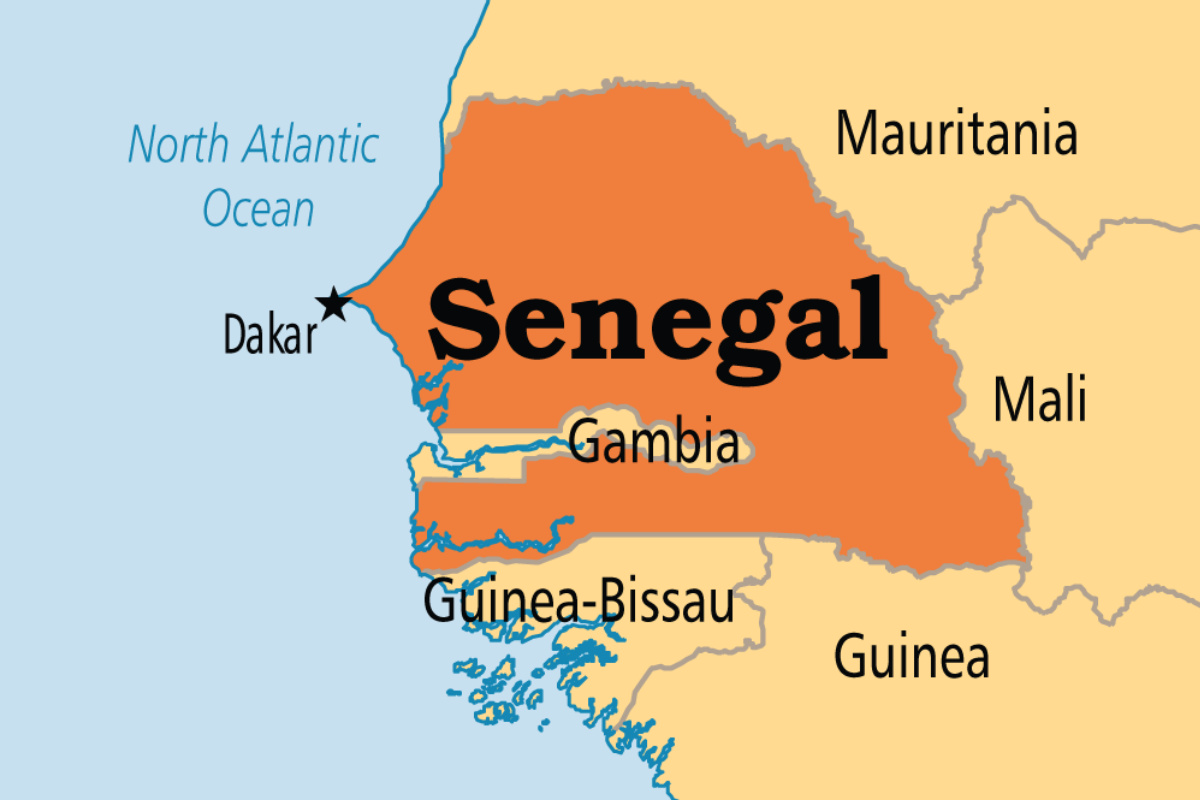 La Biélorussie veut faire du Sénégal son hub laitier en Afrique de l'Ouest