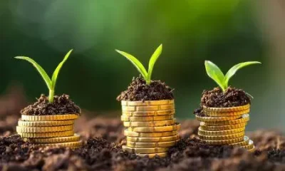 Bénin : le FIDA sème 3 millions $ pour faire germer la relance agricole