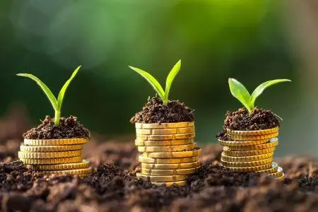 Bénin : le FIDA sème 3 millions $ pour faire germer la relance agricole