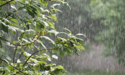 Pluies en pleine saison sèche : un phénomène qui interroge les agriculteurs, ANAMET leur explique tout