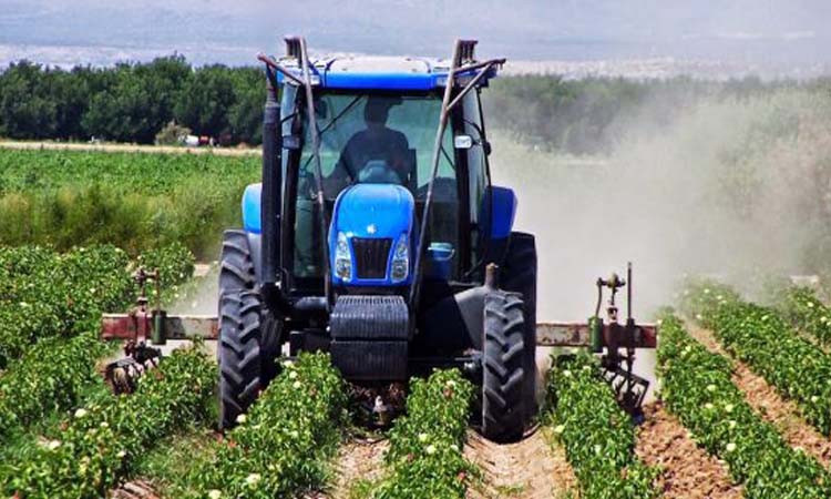 Agriculture verte : TiG mise sur l’innovation et la transformation locale