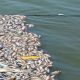 Santé publique à Lomé : alerte après une mortalité massive de poissons à Todman