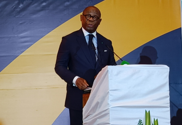 BOAD Development Days : Plus de 300 milliards FCFA investis au Togo en 5 ans