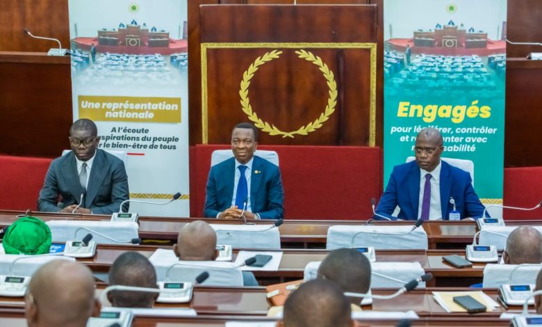 Togo – Lutte contre les faux médicaments : les députés se mobilisent pour protéger la santé publique