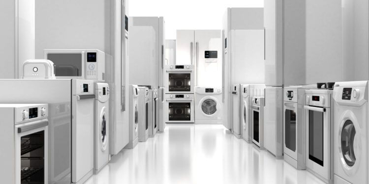 Fizzen : L’alliance parfaite entre élégance et performance