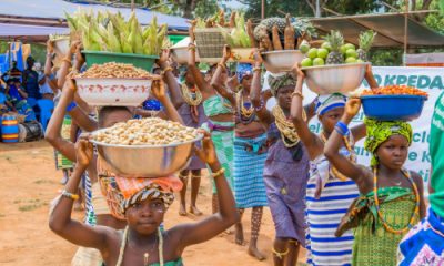 Kovié célèbre la 24e édition de la fête traditionnelle Dukɔ Kpedaz
