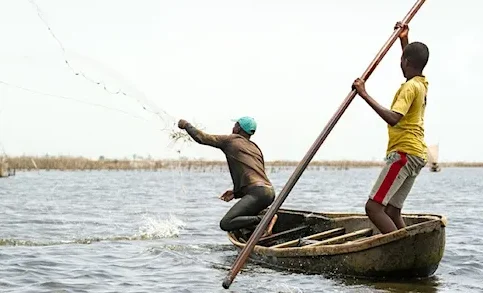 Togo : le gouvernement suspend pour un mois la pêche afin de préserver les ressources halieutiques